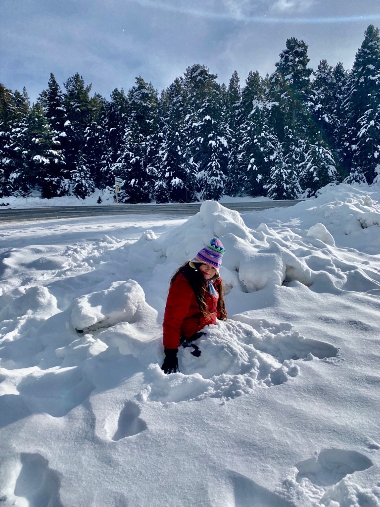 Rivière glacée près du Pla de Barès - Font Romeu Une balade facile à faire avec des enfants !
