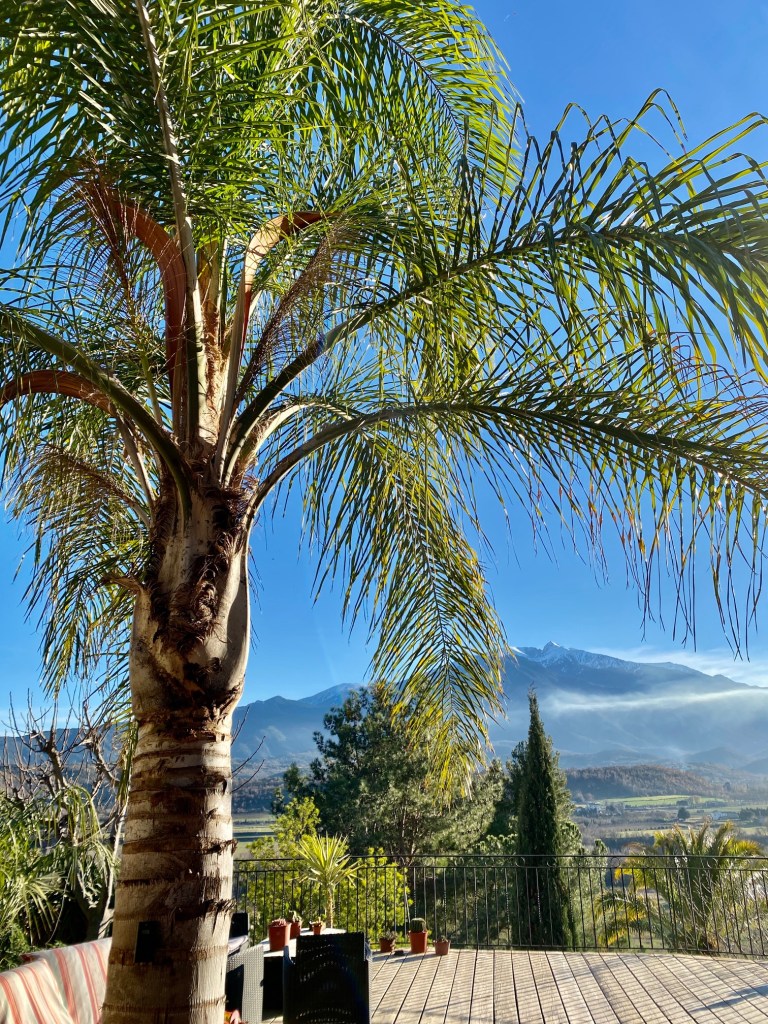 terrasse de la casa ilicia le 31 décembre 2021, avec 23 dégrés à l'ombre !