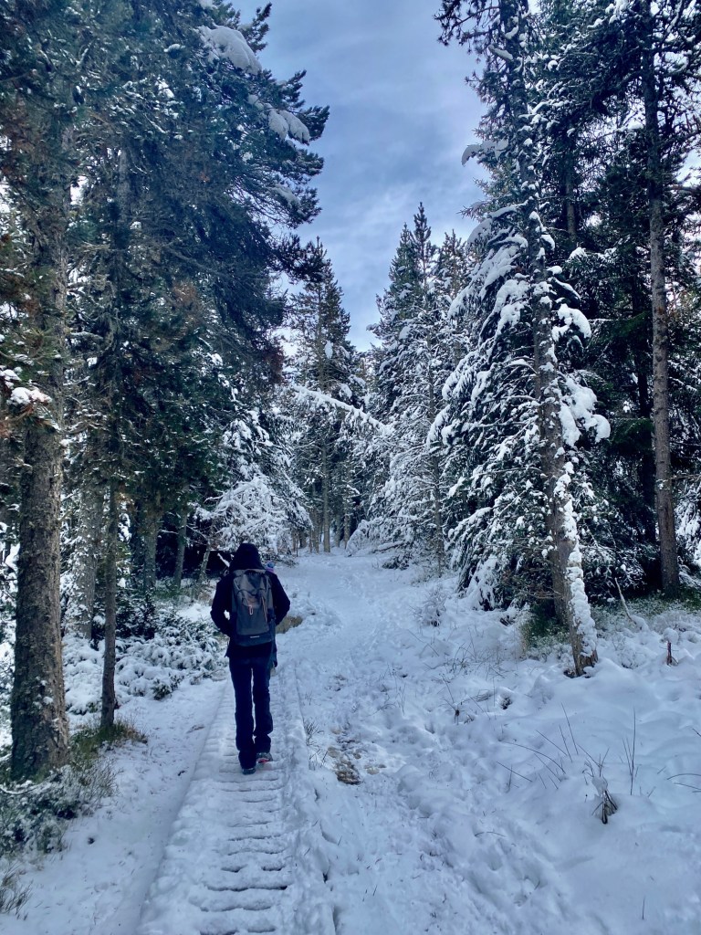 petit canda en raquette font romeu