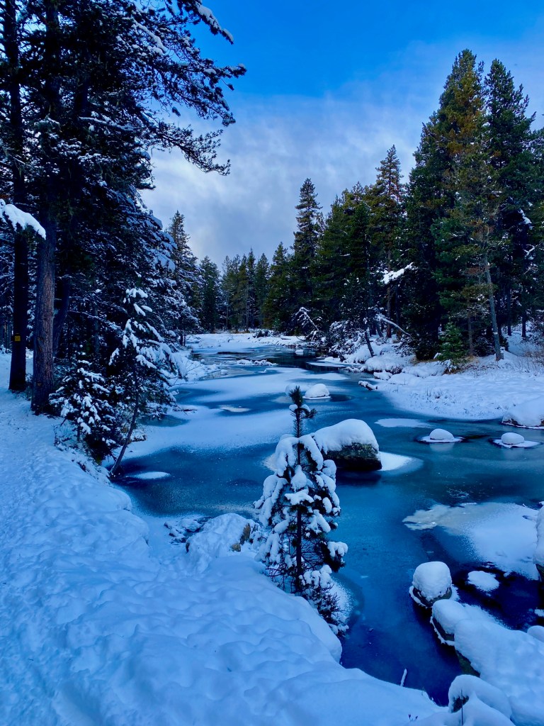 Rivière glacée près du Pla de Barès - Font Romeu Bolquère