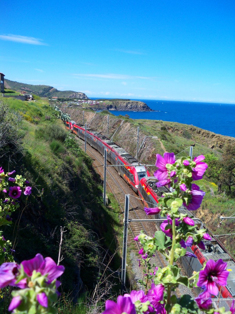 TER 1 euro pour cerbère gratuit bus sncf gare graffiti