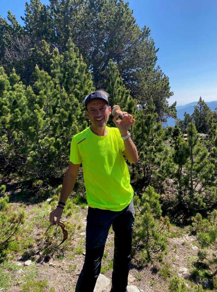randonnée en boucle depuis la station de ski de puyvalador pic ginebre et puig du pla de bernat champignon