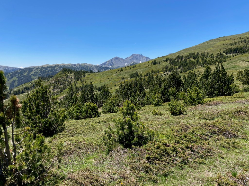 randonnée en boucle depuis la station de ski de puyvalador pic ginebre et puig du pla de bernat perics galbe