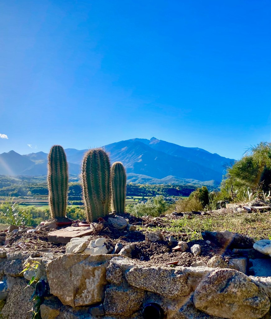 le jardin de cactus a Eus Jardin botanique et exotique