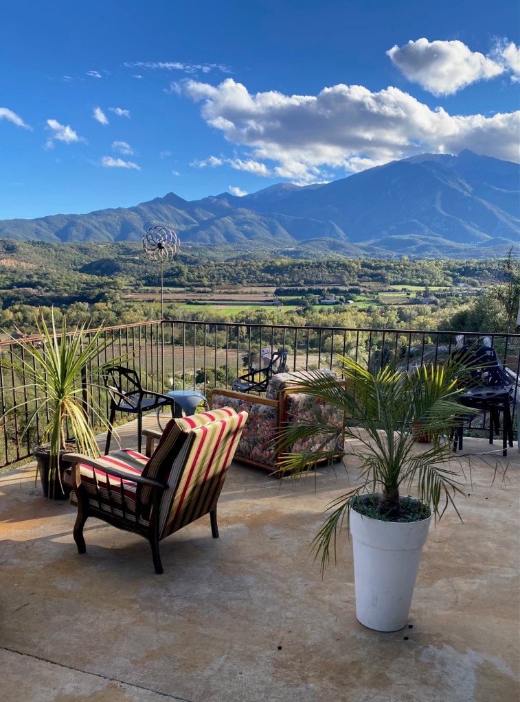 La vermuteria EUS le moot vermoutherie eus jardin de catus terrasse lounge