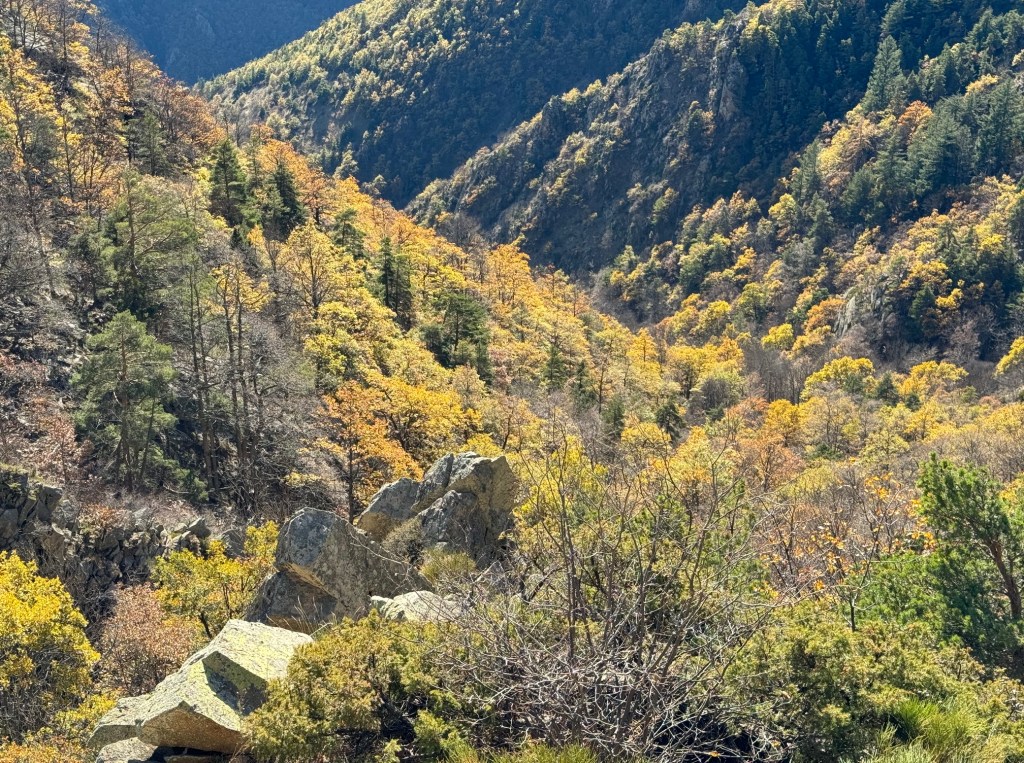 couleurs des pyrénées en automne