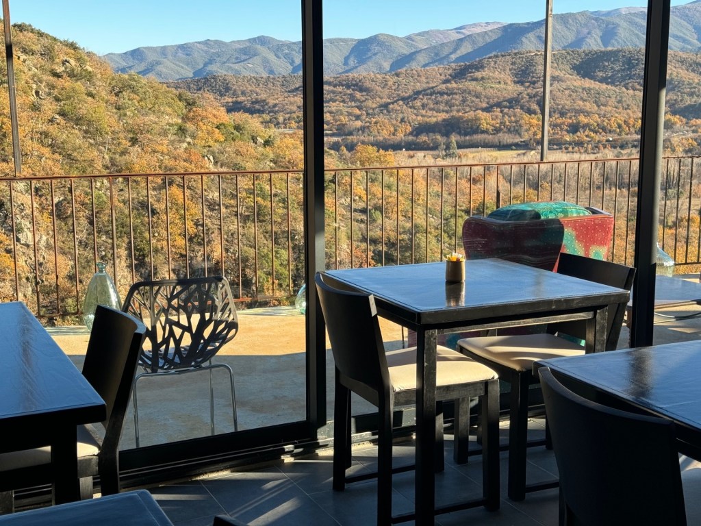 Vue du Bar du moot bar tapas de Cactus a eus vermouth vermoutherie vermuteria artesanal catalana