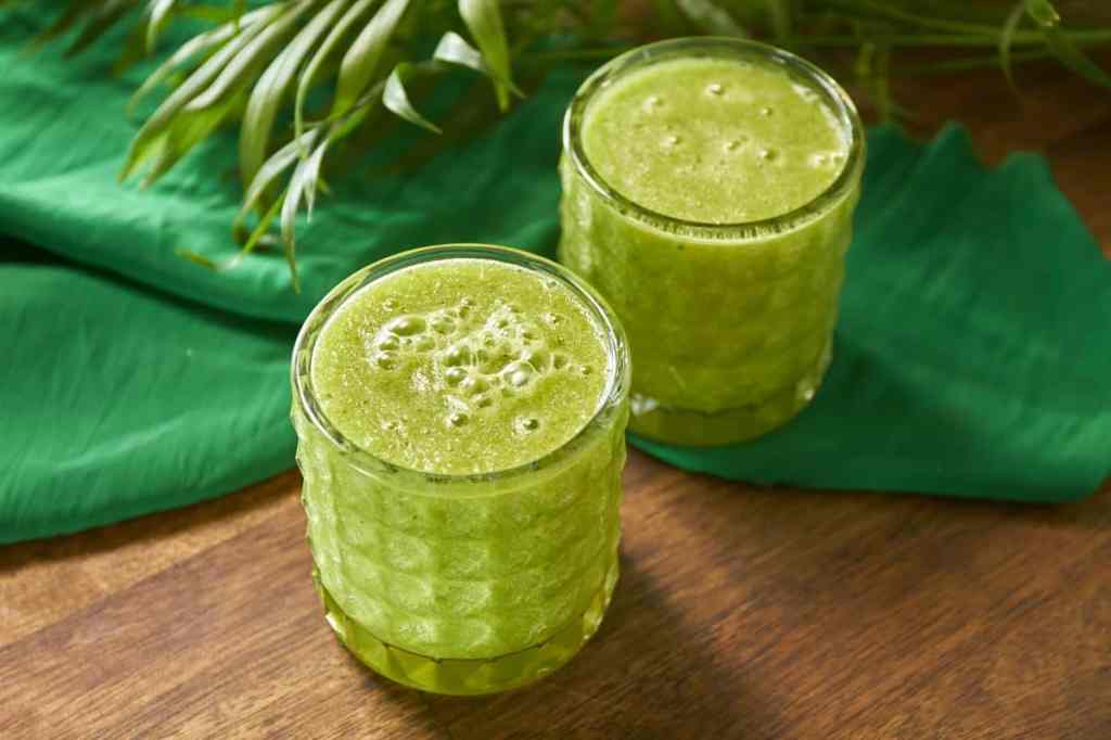 eau de cactus jus de nopal maison production française de nopal sud france opuntia jus